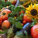 Oz - Obecana Zemlja Permaculture Homestead 롯지 블라카예