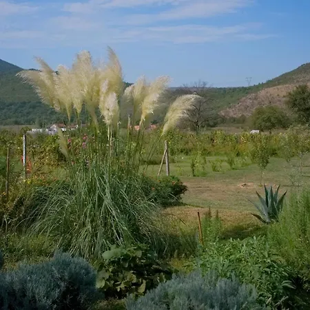 Oz - Obecana Zemlja Permaculture Homestead * Благай