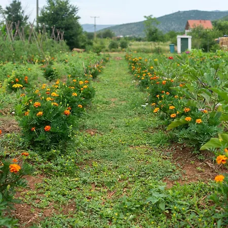 Lodge Oz - Obecana Zemlja Permaculture Homestead Blagaj