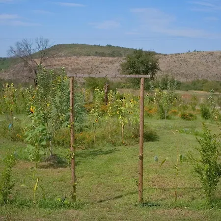 Oz - Obecana Zemlja Permaculture Homestead Blagaj