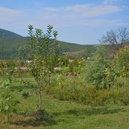 Oz - Obecana Zemlja Permaculture Homestead * Blagaj