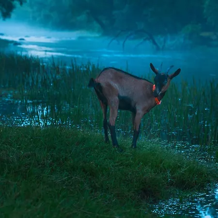 Lodge Oz - Obecana Zemlja Permaculture Homestead