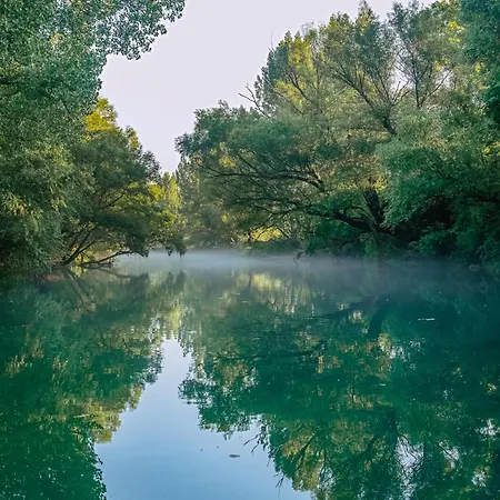 Oz - Obecana Zemlja Permaculture Homestead Alojamento de Turismo Selvagem *