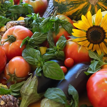 Oz - Obecana Zemlja Permaculture Homestead Деревянный коттедж Благай