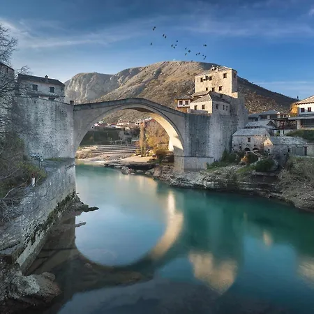 Domek letniskowy Oz - Obecana Zemlja Permaculture Homestead Blagaj