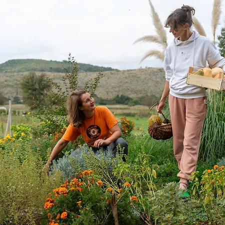 Oz - Obecana Zemlja Permaculture Homestead