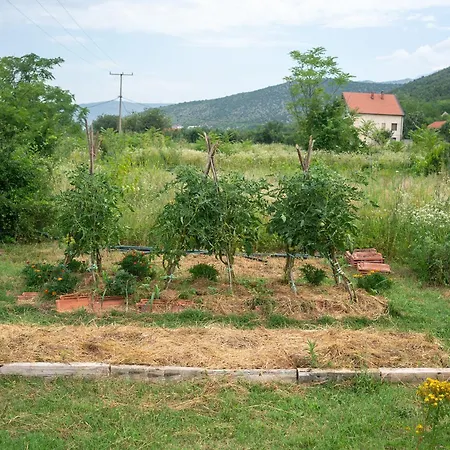 Oz - Obecana Zemlja Permaculture Homestead * Blagaj