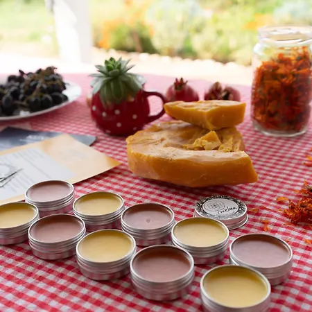 Oz - Obecana Zemlja Permaculture Homestead