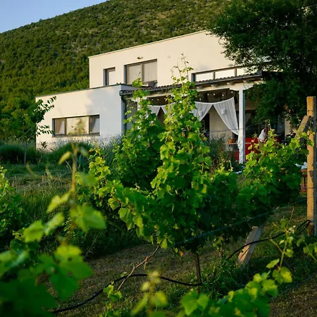 Oz - Obecana Zemlja Permaculture Homestead