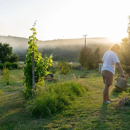 Oz - Obecana Zemlja Permaculture Homestead Blagaj