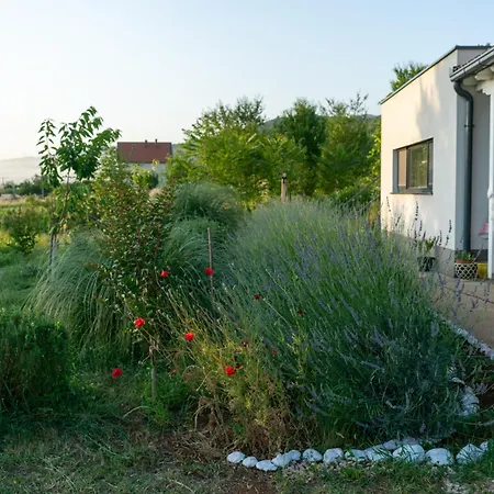 Oz - Obecana Zemlja Permaculture Homestead